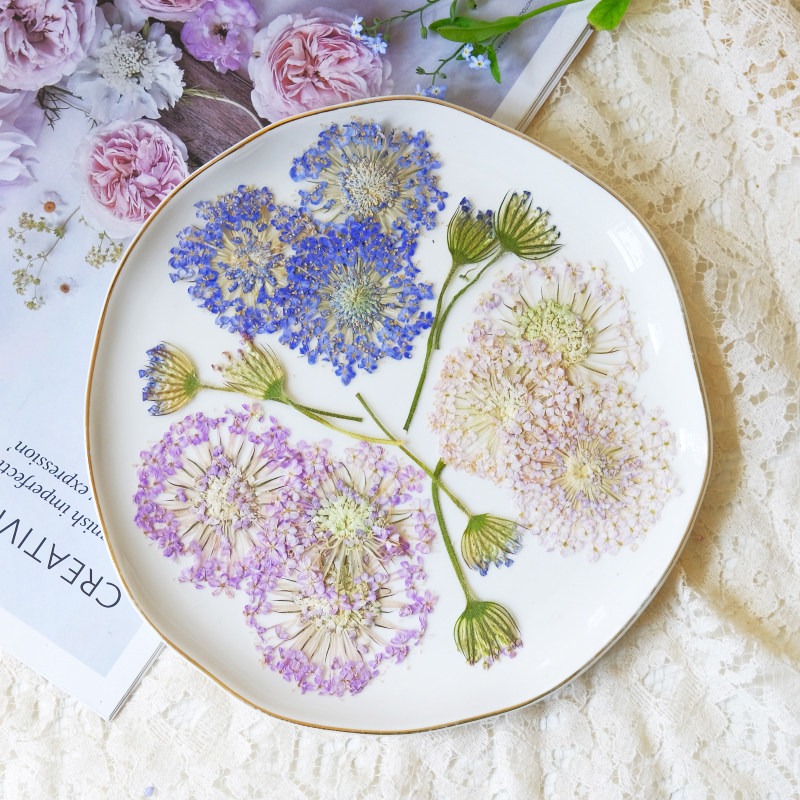 12 Piezas de Flores de Perla E - Dried Flower Bookmark reseña y precio