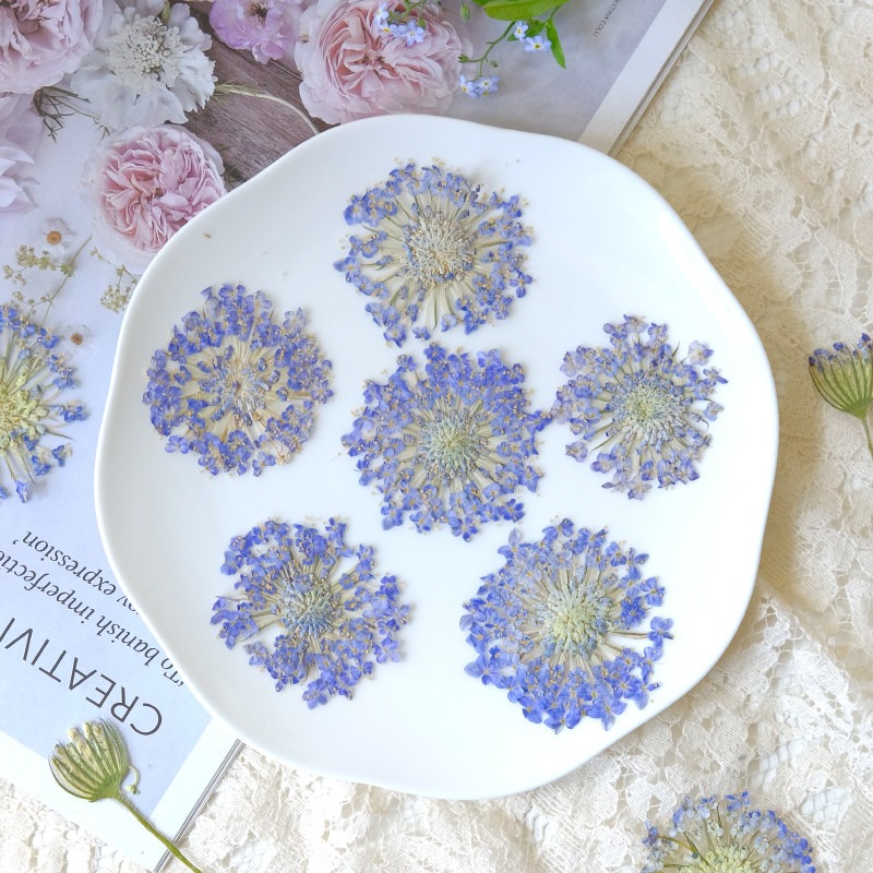 12 Piezas de Flores de Perla E - Dried Flower Bookmark reseña y precio