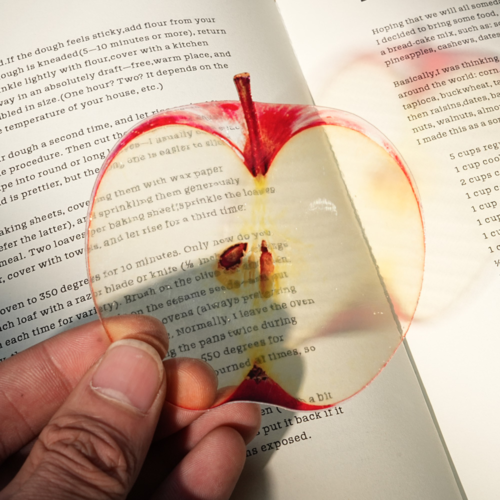 Nuevo Marcador de Hojas Delica - Dried Flower Bookmark reseña y precio