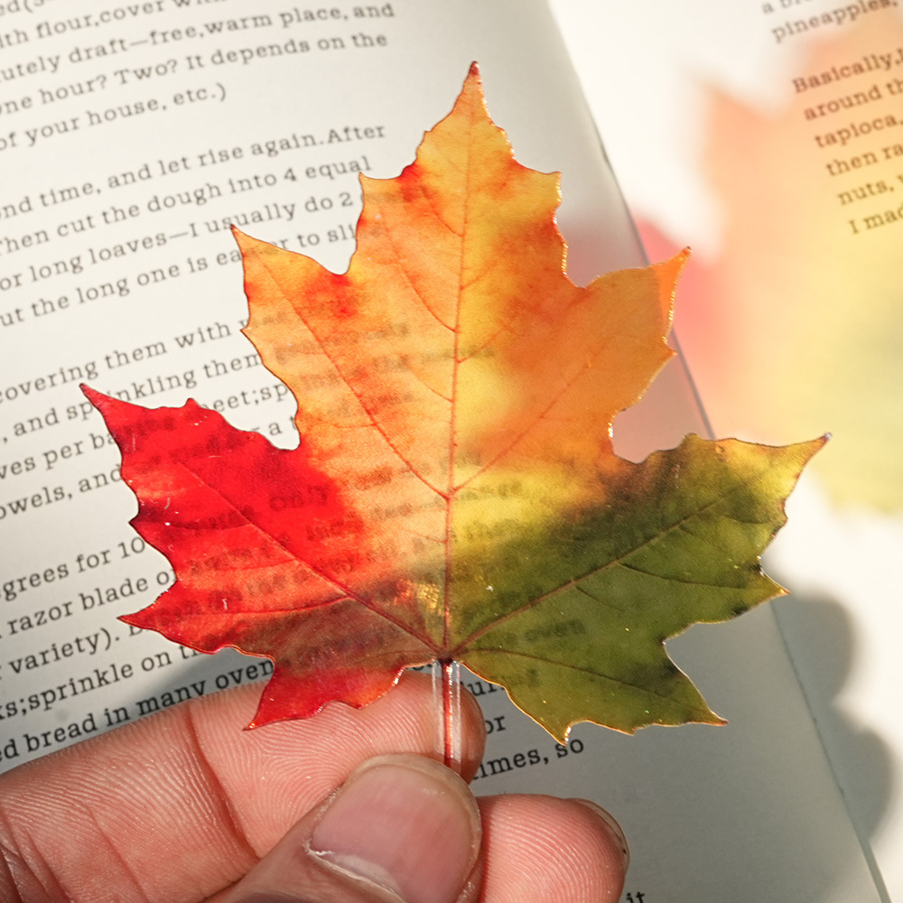 Nuevo Marcador de Hojas Delica - Dried Flower Bookmark reseña y precio